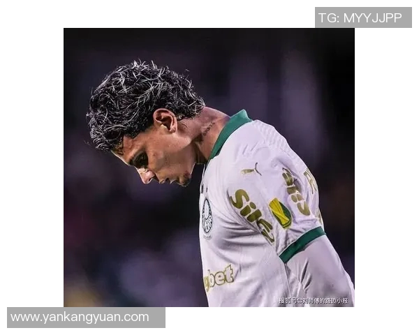 法甲新援频现葡萄牙边锋加盟里尔意甲豪门锁定巴西新星潜力股