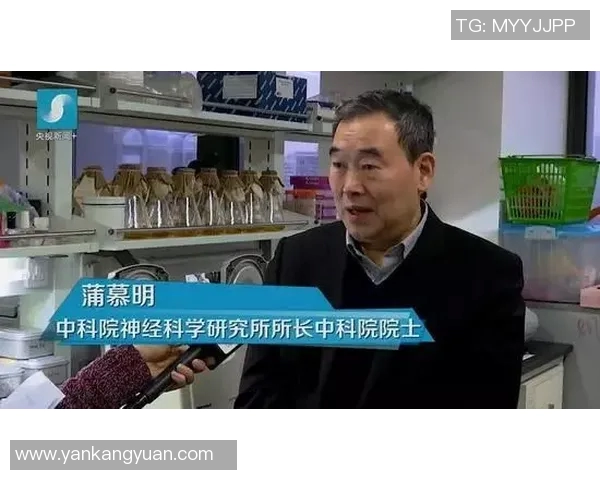 方便与杜姆贝视频的对比分析探讨其在现代生活中的影响与应用